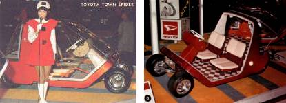 Town Spider